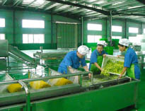 四川中央廚房設(shè)備廠家詳解中央廚房的分區(qū)要自己設(shè)計注意事項(xiàng)